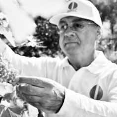 Vincenzo Benevento - CEO, Erbagil